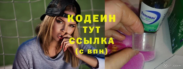 прущий лед Алзамай