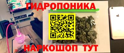 2c-b Пугачёв