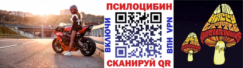 Галлюциногенные грибы Psilocybe  Югорск 