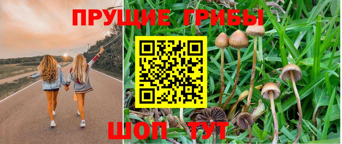 Югорск  Галлюциногенные грибы Psilocybe  Вход с VPN 